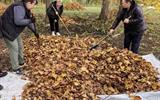 изображение_viber_2026-10-15_14-59-29-473